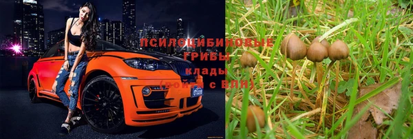 мяу мяу мука Алексин
