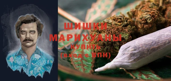 шишки Алзамай