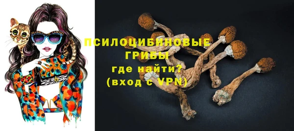 шишки Алзамай