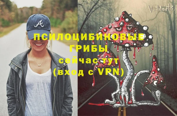шишки Алзамай